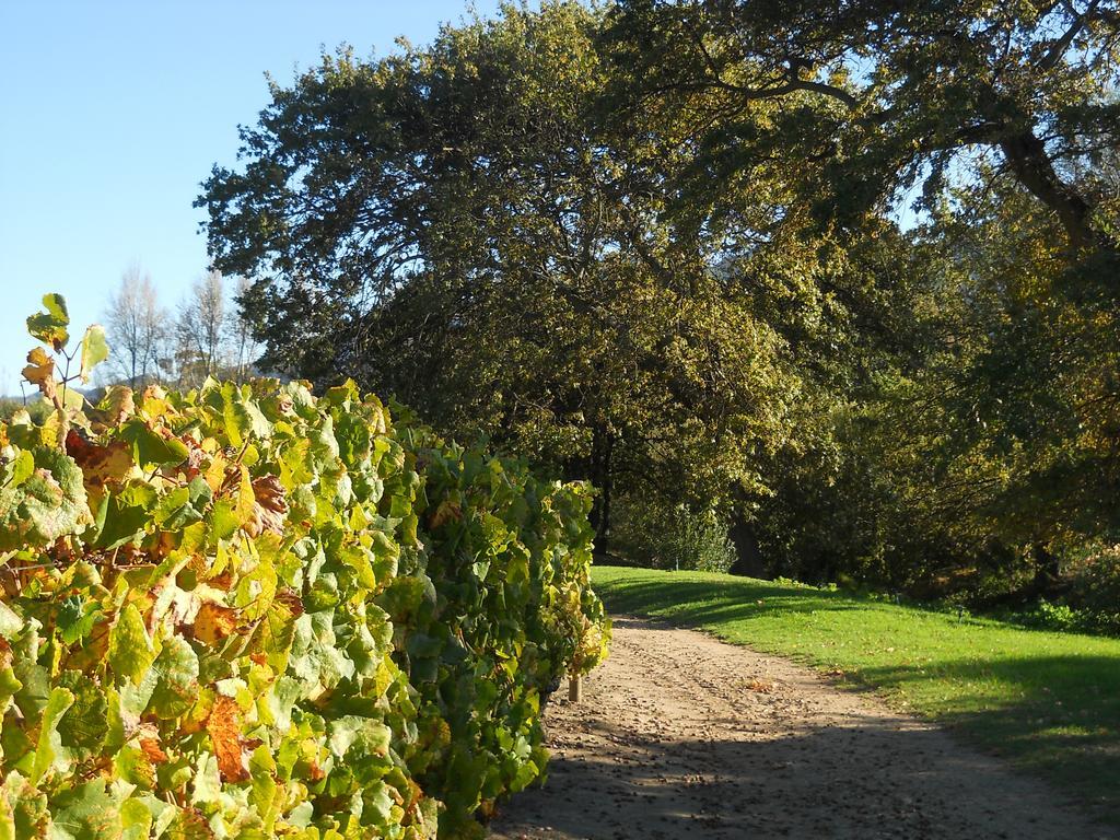 Auberge Clermont Franschhoek Exteriör bild