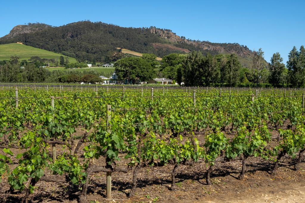 Auberge Clermont Franschhoek Exteriör bild