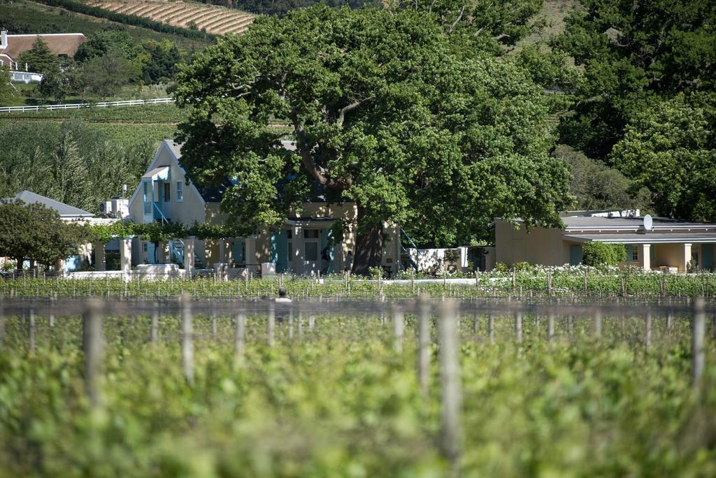Auberge Clermont Franschhoek Exteriör bild