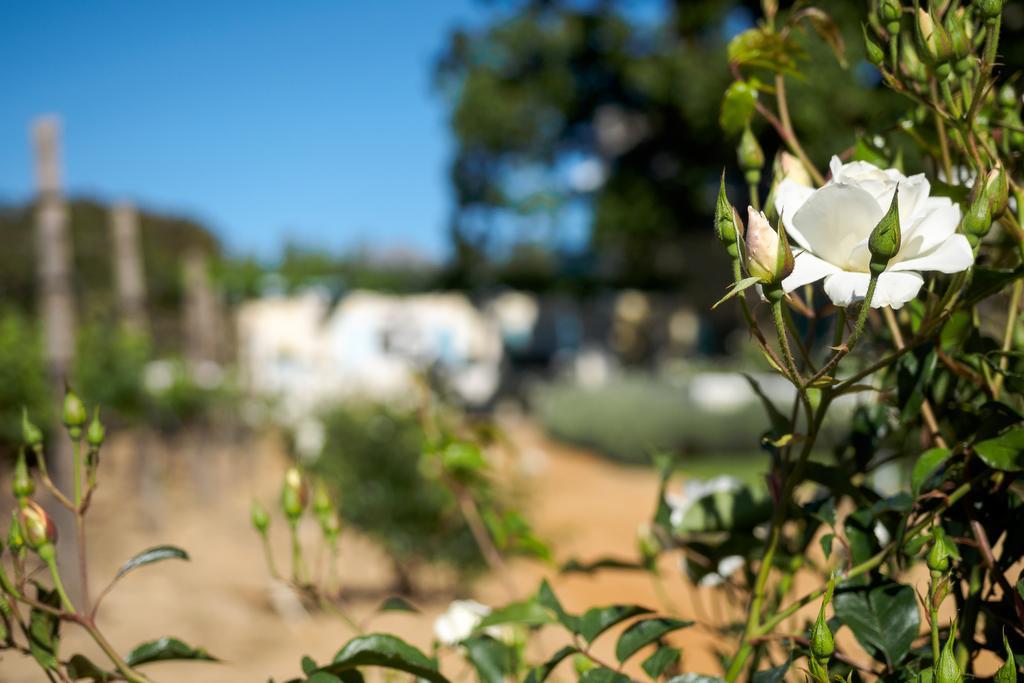 Auberge Clermont Franschhoek Exteriör bild
