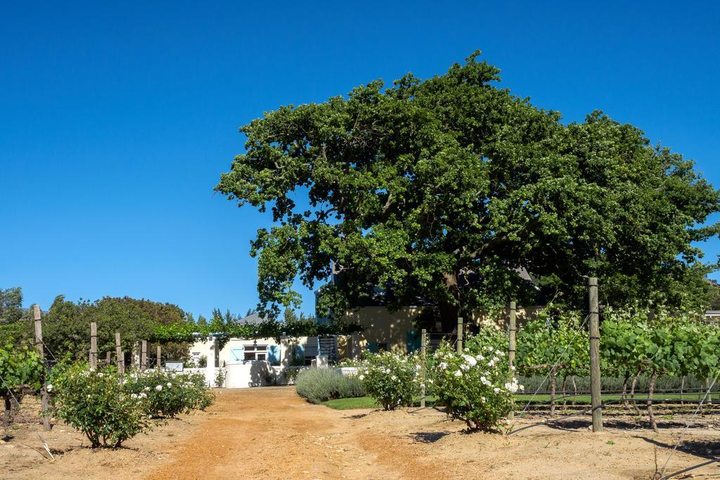 Auberge Clermont Franschhoek Exteriör bild