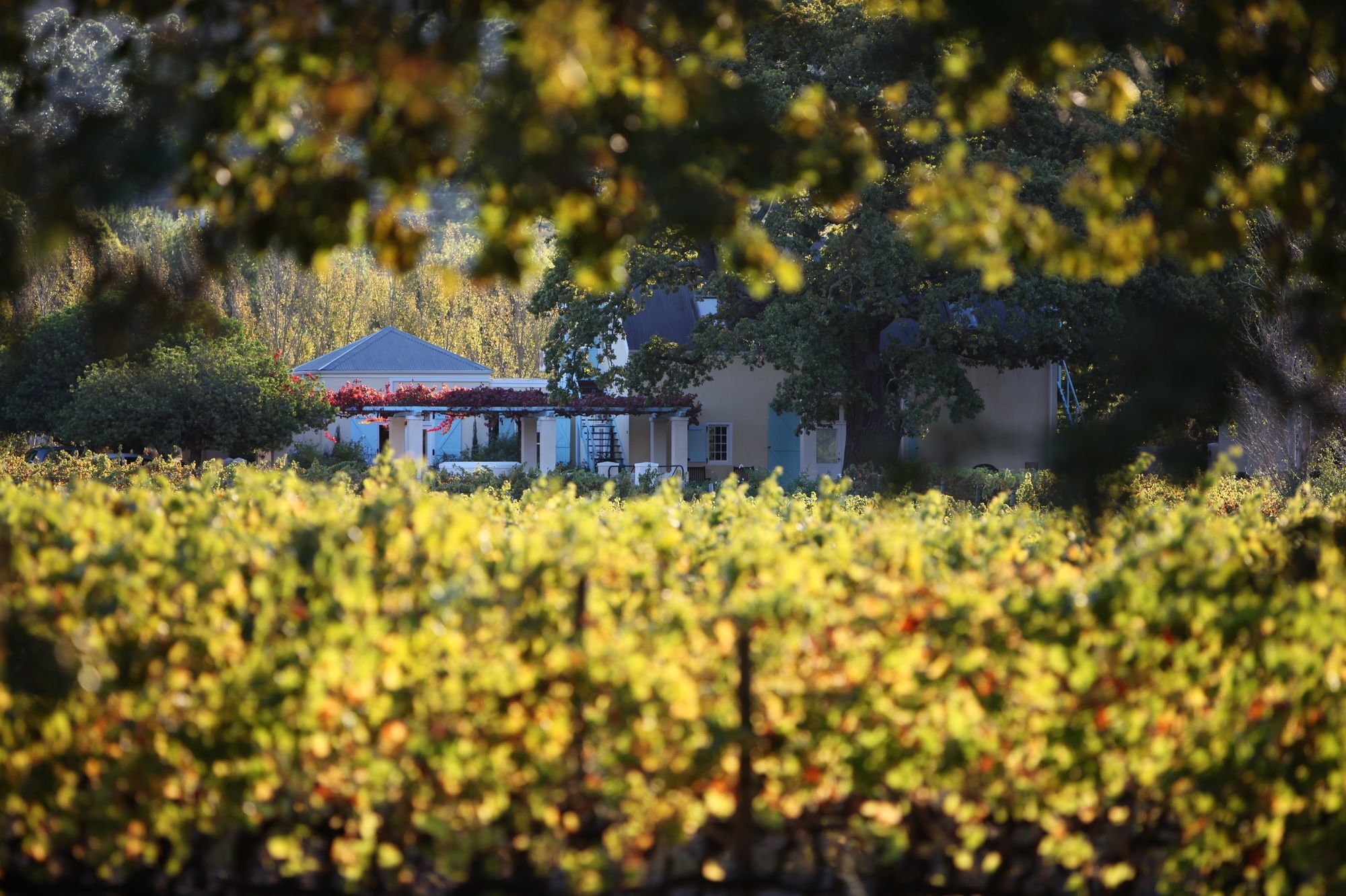 Auberge Clermont Franschhoek Exteriör bild