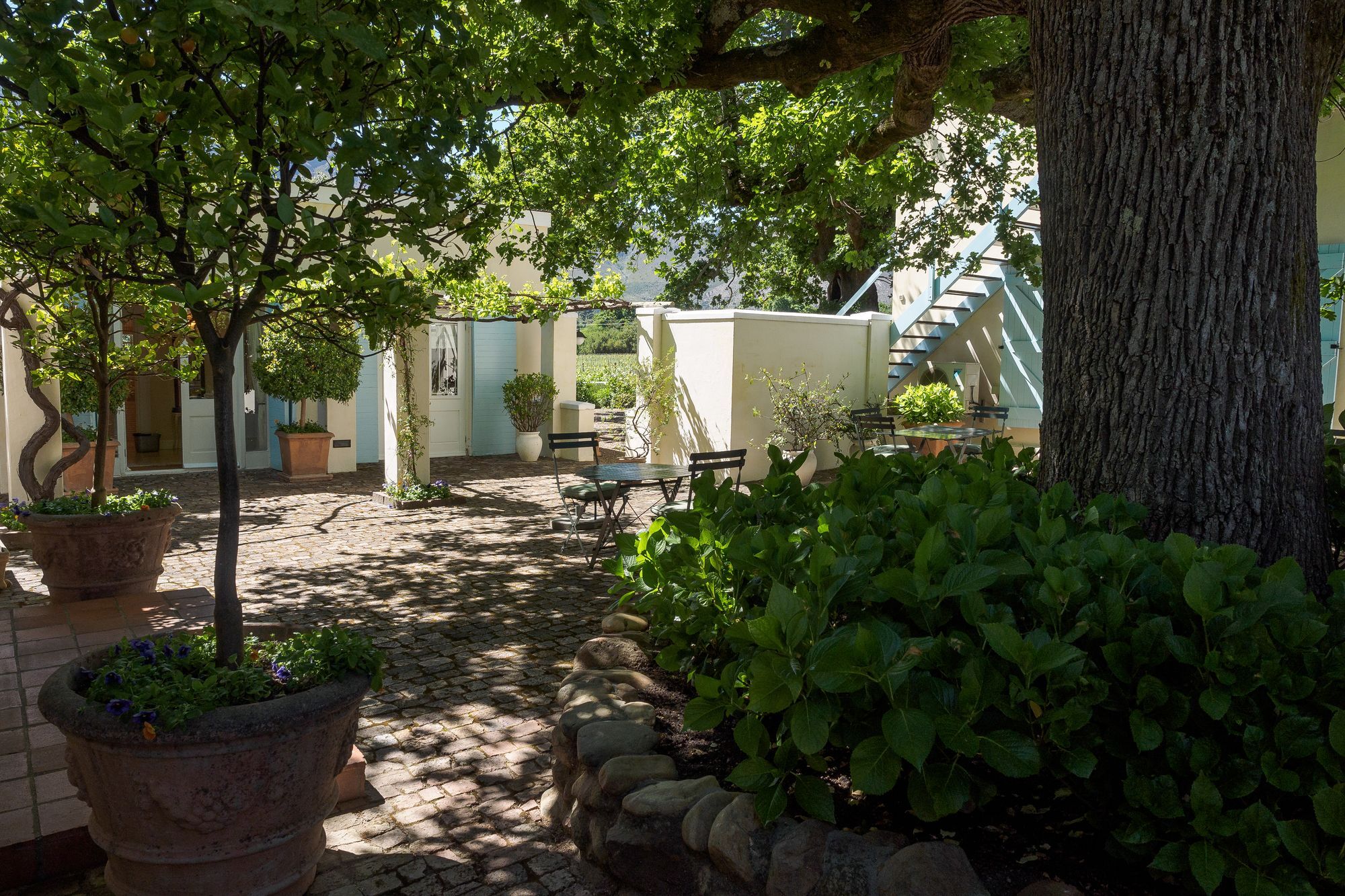 Auberge Clermont Franschhoek Exteriör bild