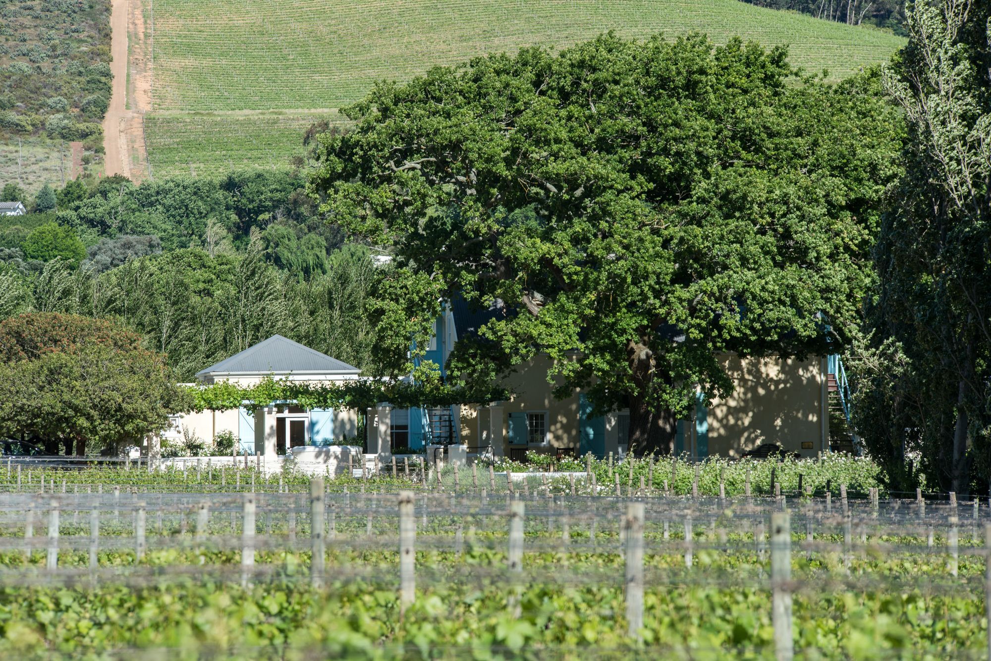 Auberge Clermont Franschhoek Exteriör bild